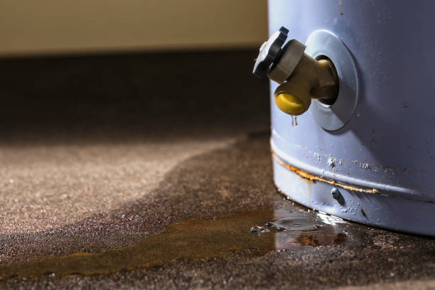 Best Water damage restoration near me  in Syracuse, NE