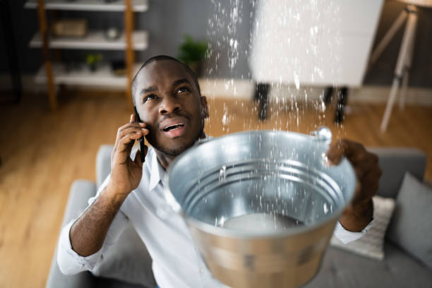 Best Mold removal after water damage  in Syracuse, NE