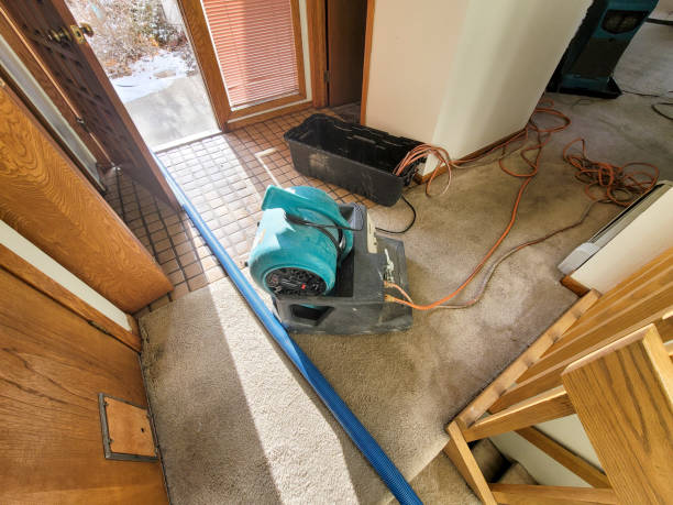 Best Water damage cleanup near me  in Syracuse, NE