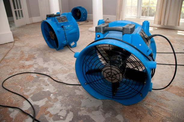 Best Water damage restoration process  in Syracuse, NE