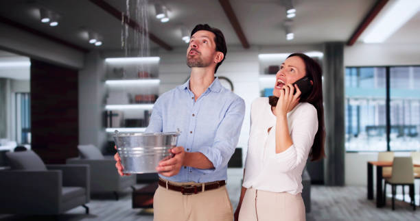 Best Water damage contractors near me  in Syracuse, NE